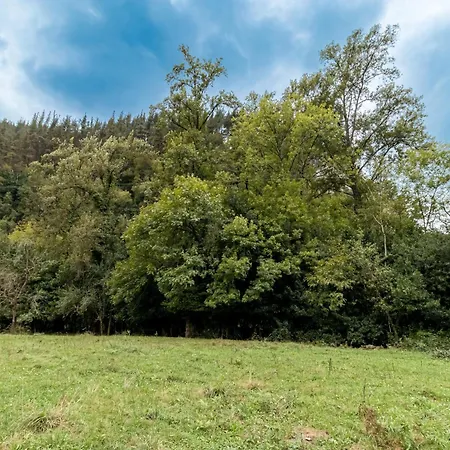 Holiday home Susurros De Rio